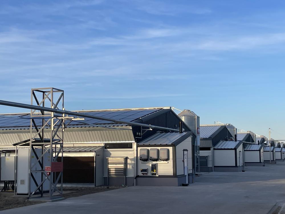 Víziszárnyas telep - 20 ól