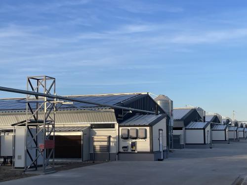 Víziszárnyas telep - 20 ól